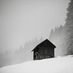 Das Geheimnis der Lichtung (Ronny Behnert) - Muzeo.com