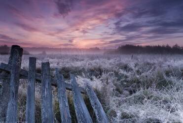 Dawn of Bialowieza Meadows (Krzysztof Lorant) - Muzeo.com