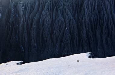 Deep In Canyon (BJ Yang) - Muzeo.com
