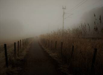 Deeply into the fog (Kremena Nikolaeva) - Muzeo.com