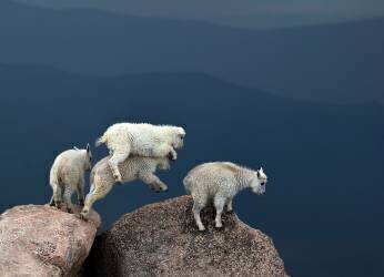 Double Hump (Verdon) - Muzeo.com