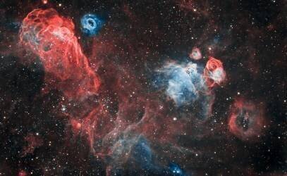 Dragon head Nebula (Vikas Chander) - Muzeo.com