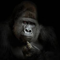 Ego cogito, ergo sum (Antje Wenner-Braun) - Muzeo.com