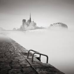 Île de la Cité (Ronny Behnert) - Muzeo.com