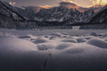 Enjoy the Silence (Thomas de Franzoni) - Muzeo.com