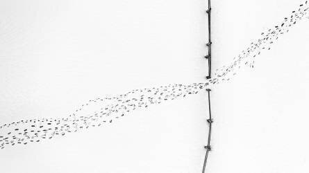 Entrance/Exit (Mei Xu) - Muzeo.com