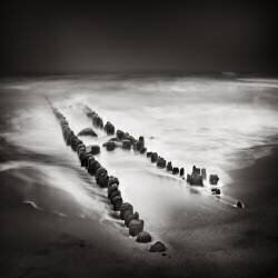 February Fog (Ronny Behnert) - Muzeo.com