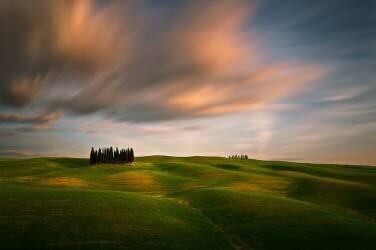 Fields (Krzysztof Browko) - Muzeo.com