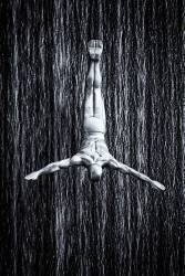 Fine diving (Martin Fleckenstein) - Muzeo.com