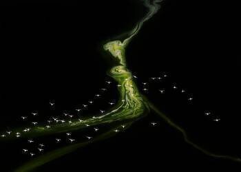 Flying over Incredible pattern (John J. Chen) - Muzeo.com
