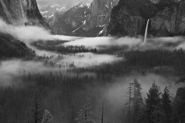 Fog Floating In Yosemite Valley (Hong Zeng) - Muzeo.com
