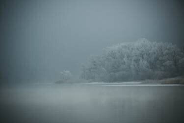 Foggy (Renate Wasinger) - Muzeo.com