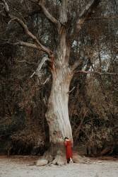 Girl in a red dress (Dorota Gorecka) - Muzeo.com