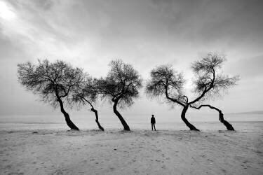 Glance (Hakan Biyiklioglu) - Muzeo.com