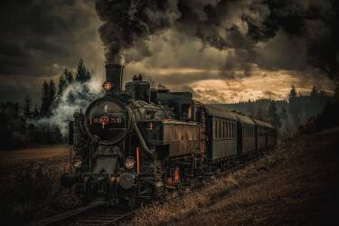 Gold digger train (Hubert Bichler) - Muzeo.com