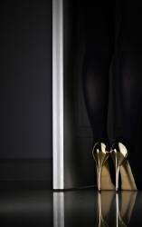 Golden eyes (Erik Schottstaedt) - Muzeo.com