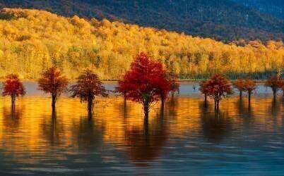 Golden sunset (Ali Fallahzadeh) - Muzeo.com