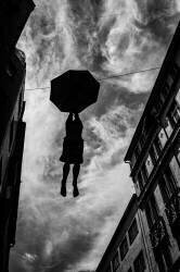 Hanging in there (Wille Roos) - Muzeo.com