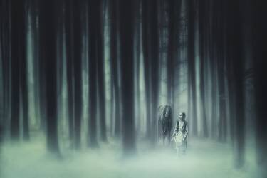 He had forest fairy (Stanislav Hricko) - Muzeo.com