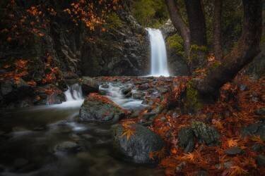 Headwaters (Christos Zoumides) - Muzeo.com