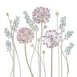 Helenium (Mandy Disher) - Muzeo.com