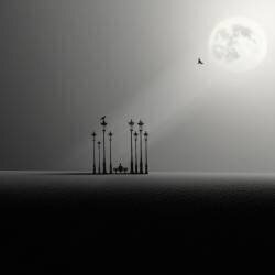 Hermit (Hadi Malijani) - Muzeo.com