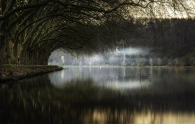 Hypnosis of Nature (Abhishek Dey) - Muzeo.com
