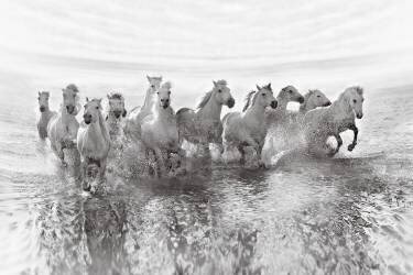 Illusion of power (13 horse power though) (Roman Golubenko) - Muzeo.com