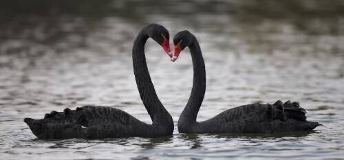 In love (C.S. Tjandra) - Muzeo.com