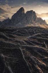 In the Hall of the Mountain King (Thomas de Franzoni) - Muzeo.com