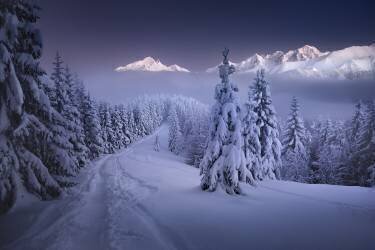 In the Winter (Karol Nienartowicz) - Muzeo.com