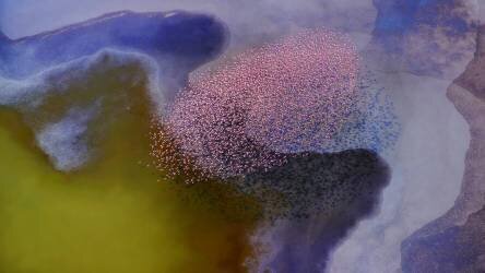 Incredible colors (Phillip Chang) - Muzeo.com