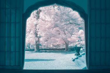 Infrared photography (Yuuui) - Muzeo.com