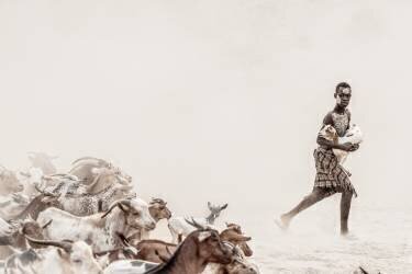 Kara boy herder (Trevor Cole) - Muzeo.com