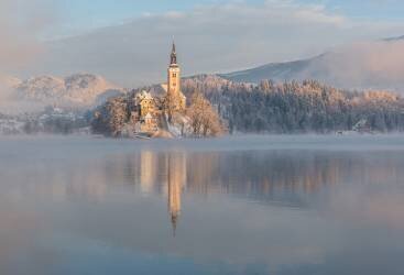 Lake Bled with the church and the castle on a calm winter morning (Ales Krivec) - Muzeo.com