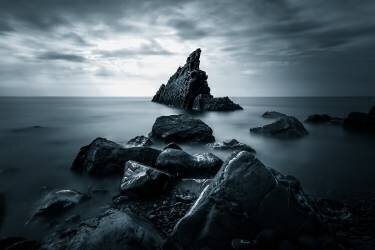 Life on earth ? (Cristiano Giani) - Muzeo.com