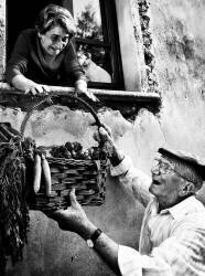 Lifetime friends (Giuseppe Maiorana) - Muzeo.com