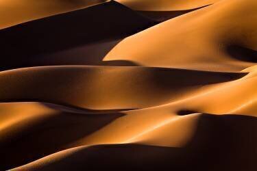 Light and Shadow (Mohammadreza Momeni) - Muzeo.com