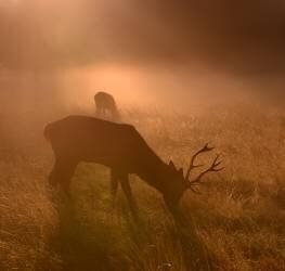 Light means everything... (Robert Fabrowski) - Muzeo.com