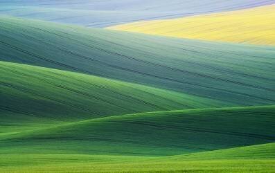 Lines (Ales Komovec) - Muzeo.com