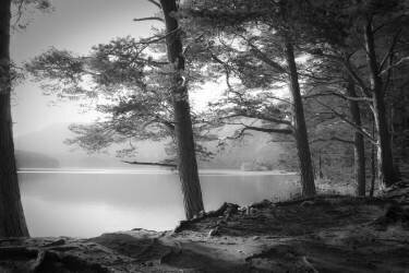 Loch an Eilein (Dorit Fuhg) - Muzeo.com