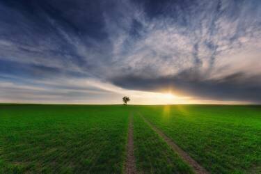Loner in the sun (Piotr Krol (Bax)) - Muzeo.com