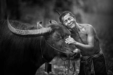 Love friend (Sarawut Intarob) - Muzeo.com
