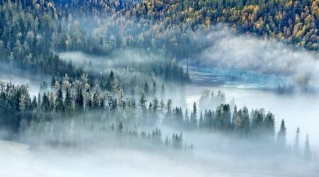 Magic Bay (Hua Zhu) - Muzeo.com