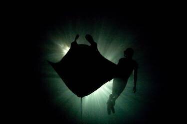 Manta ray and freediver, Raja Ampat, West Papua, Indonesia (Ethan Daniels) - Muzeo.com