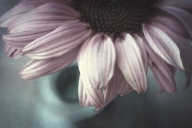 Meet me halfway (Corinna van der Ven) - Muzeo.com