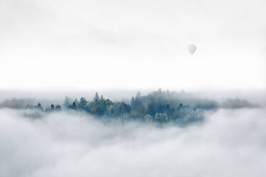 Misty Morning Surprise (Matthias Bergolth ) - Muzeo.com