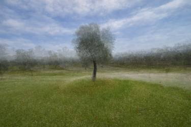 Mixed with fantasy (M.enver Karanfil) - Muzeo.com