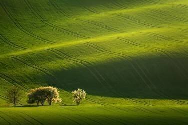 Moravian waves (Daniel Řeřicha) - Muzeo.com