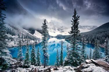 Morning blues (Trevor Cole) - Muzeo.com
